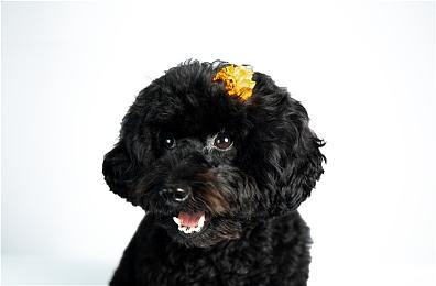 为完善游戏品质 《影子武士3》宣布延期至2022年